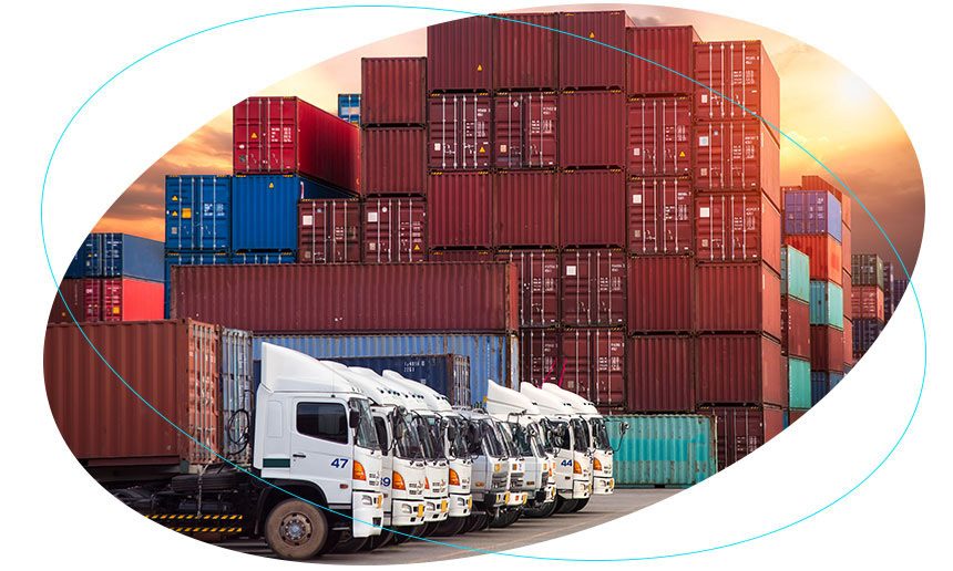 Fleet of cargo trucks lined up at a container terminal